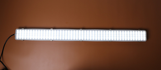 110 Lm/W LED 세 배 증거 빛 50W 5ft 수증기는 단단히 전등 설비를 지도했습니다